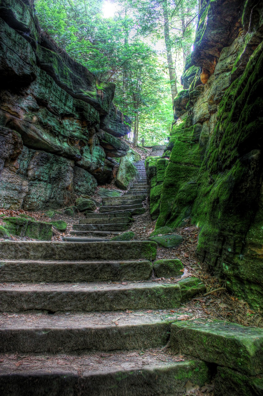 Stone steps leading upward through a moss-covered gorge